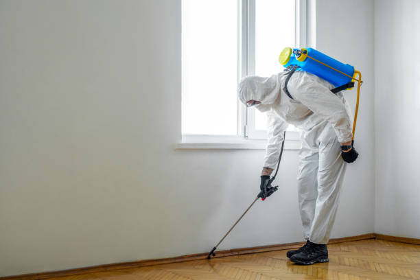 Best Pest Control Near Me  in Inverness, IL