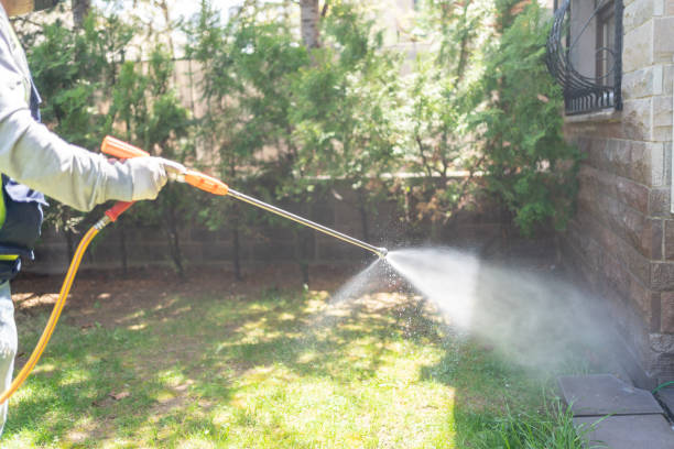 Trusted Inverness, IL Pest Control Experts