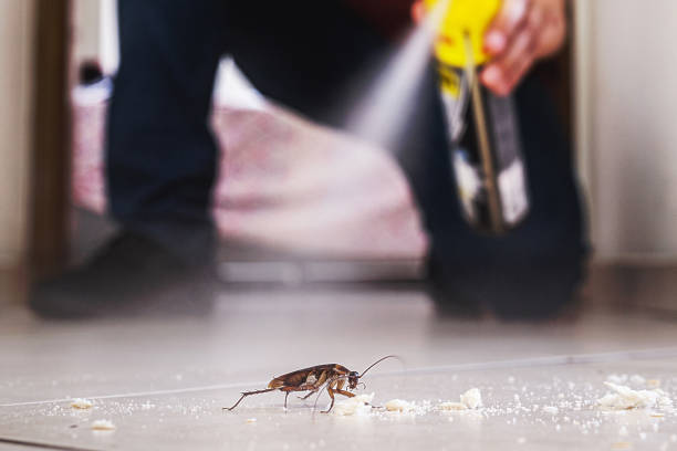 Best Wildlife Control Services  in Inverness, IL